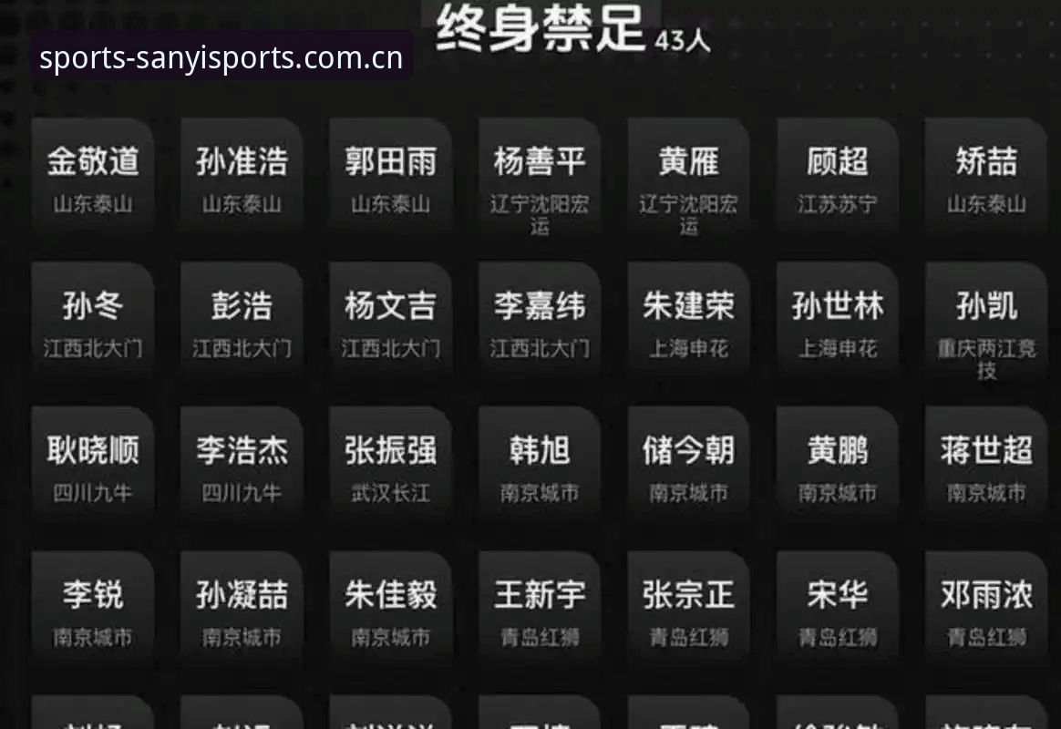 足协第三批禁足名单深度解读：足球腐败整治与观赛实用知识